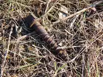 Am 27.3 habe ich am Bahnübergang Blumenstraße diese Schwellenschraube Ss8 für Holzschwellen entdeckt.

Grevenbroich 27.02.2016