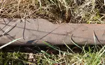 Beim abgehen des stillgelegten Anschlussgleises entdeckte ich dieses Übergang zwischen einer S49 Schiene links, während rechts sich eine S30 oder S33 Schiene befindet welche heute auf gefahrenen Strecken nicht mehr zu finden ist.

Grevenbroich 27.02.2016