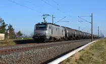 Die für CTL fahrende 37029 fuhr mit einem Kesselwagenzug am 17.02.16 durch Braschwitz Richtung Halle(S).