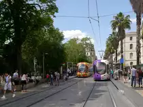 Links Tram TaM-2058 (Citadis302 Alstom)unterwegs auf L2 nach Sabines.

Rechts Tram TaM-2049 (Citadis302 Alstom) in der weiß/lila Rame-Multilignes-Lackierung unterwegs auf L2 nach Jacou.
Diese Lackierung ist den wenigen nicht einer Linie zugeordneten Multilignes-Fahrzeugen vorbehalten. Ansonsten hat die TaM (Transports de Montpellier Méditerranée Métropole)für jede der 4 existierenden Linien gesondert gestaltete Fahrzeuge im Einsatz. 

2015-05-30  Montpellier Gare-Saint-Roch 
