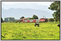 Eine 1144er schiebt einen CityShuttle im Sommer 2005 von Rosenheim nach Innsbruck. Aufgenommen bei Niederaudorf. N�chster Halt des Zuges ist Oberaudorf.