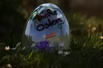 Frohe Ostern zusammen ! 
VT 10.02 anlässlich einer Pensionssonderfahrt am 19.03.2016 in der nähe von Wies Markt