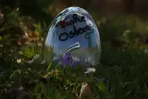 5063.08 glänzt in jeder hinsicht ,... Auch im Ei rauscht er vorbei ,....

Wies Markt am 19.03.2016