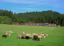 642 123 + 642 215 am 19.10.2013 bei Leuterschach. 