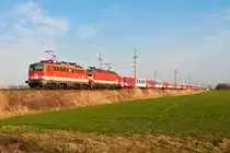 1142 585 und 1144 092 waren am 18.03.2016 mit dem REX 2176 nach Sigmundsherberg unterwegs. Die Aufnahme entstand kurz vor Absdorf-Hippersdorf.