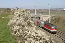 Frühling in Pfaffstätten. 1144.267 mit R-2243 am 31.3.16