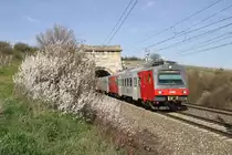 In letzter Zeit sind häufig rote 4020er auf der Südbahn unterwegs so wie hier 4020.294 als S nach Leobersdorf bei Pfaffstätten am 31.3.16