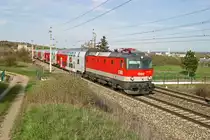 Die ziemlich neue 1144.269 fährt mit R-2349 durch die frühlingshaften Weinberge bei Pfaffstätten am 31.3.16