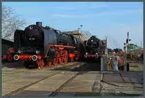 Im Morgenlicht sonnen sich am 02.04.2016 01 005 und 52 8184-5 vor dem Lokschuppen des Museums-Bw Staßfurt. 