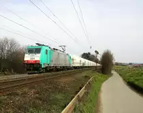 Die Cobra 2804  kommt aus Richtung Aachen-West und fährt die Gemmenicher-Rampe hochgefahren mit einem langen Kalkleerzug aus Millingen(D) nach Yves-Gomezee(B) und fährt in Richtung Montzen/Belgien. 
Aufgenommen an der Montzenroute am Gemmenicher-Weg. 
Bei schönem Frühlingswetter am 2.4.2016.