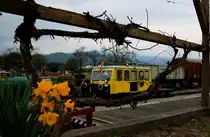 Langsam aber sicher geht die Narzissenzeit zu Ende und die Weintrauben werden beginnen den Durchblick auf X626.205 zu verhindern. Am 8.April 2016 steht eben dieser Abfahrbereit im Bahnhof Stainz um eine Arbeiterrotte von Eisenbahnkreuzung zu Eisenbahnkreuzung zu fahren damit diese von Stauden und Gestrüpp befreit werden können.