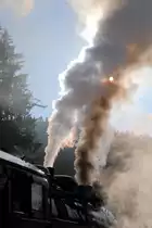 Als kombinierter Rauch-Dampf-Sonnenfilter fungiert am 15.02.2015 Dampflok 99 6001 im Bahnhof Eisfelder Talmühle! Schade, daß es gerade keine Sonnenfinsternis gab, die wäre bestimmt sehr gut zu beobachten gewesen!! ;-)