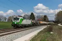 193 240 der SETG mit einem Knickkesselzug am 10. April 2016 bei Übersee.