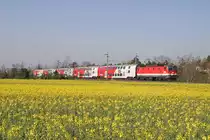 Hinter den frisch blühenden Feldern fährt 1144.101 mit R-2247 bei Theresienfeld am 11.4.16 nach Wr.Neustadt.