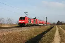Nachschuss am 07.02.2015 auf die Freiburger 146 236-5  Schwarzwaldbahn Erlebnispfard/Triberg , als sie mit einem RE (Basel Bad Bf - Offenburg) bei Hügelheim gen Norden fuhr.