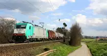 Die Cobra 2805 kommt aus Richtung Aachen-West und fährt die Gemmenicher-Rampe hoch mit einem Kurzen gemischten Güterzug aus Köln-Gremberg nach Antwerpen-Noord(B) aus Richtung Aachen-West und fährt in Richtung Gemmenicher-Tunnel,Botzelaer(B),Gemmenich(B),Nouvelaer(B),Moresnet(B),Moresnet-Chapelle(B),Montzen(B). 
Aufgenommen an der Gemmenicher-Rampe am Gemmenicher-Weg an der Montzenroute. 
Bei schönem Frühlingswetter am 9.4.2016.