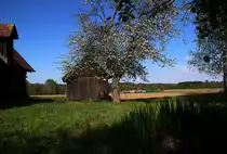 19.April 2016. Erster Sonderzug für die Stainzer Lokalbahn. Besser bekannt unter der Wortmarke  Flascherlzug  wird er heuer wieder zahlreiche kleine und Große Kinder durchs Stainztal führen. Hier im Bild MK48.2019 mit der Stammgarnitur unterwegs nach Kraubath.