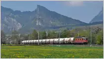 Vor dem Fläscherberg zieht Re 6/6 11628 den Hokcim Zementzug Richtung Untervaz. (19.04.2016)