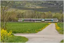 Vor den Jeninser Weinbergen ist S12 24250 auf dem Weg nach Sargans. (19.04.2016)