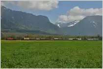 Re 4/4 II 11334 zwischen Landquart und Maienfeld. Das Skigebiet von Grüsch-Danusa hat in den letzten Tagen nochmals Schnee bekommen. (19.04.2016)