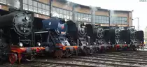 52 8154-8, 498 104, 475 111, 50 3501, 01 2118-6 und 01 137 in Dresden beim 8. Dampfloktreffen am 15.04.2016