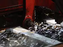 Während die 01 150 mit den Pendelzug in Bochum Dahlhausen Museum wartet plätschert das Wasser auf das Gleis.

Bochum Dahlhausen 16.04.2016