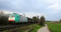 Die Cobra 2826 kommt aus Richtung Aachen-West und fährt die Gemmenicher-Rampe hoch mit einem langen Audi-VW-Zug aus Osnabrück nach Kortenberg-Goederen(B) und fährt in Richtung Montzen/Belgien. 
Aufgenommen an der Montzenroute am Gemmenicher-Weg. 
Bei Sonne und Wolken am Abend vom 14.4.2016.