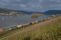 Re 485 020 mit einem KLV am 16.02.2016 bei Lorch am Rhein. 