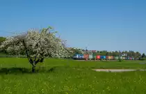 193 842 BoxXpress mit Containern Richtun Kornwestheim bei Ebersbach an der Fils.(8.5.2016)