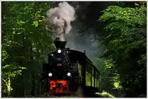 Der Stainzer Flascherlzug bei herrlichstem Wetter am 5.5.2016, hier im Wald zwischen Preding und Kraubath aufgenommen.