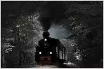 Colorkeyversuch. Stainzer Flascherlzug bei herrlichstem Wetter am 5.5.2016, hier im Wald zwischen Preding und Kraubath aufgenommen.