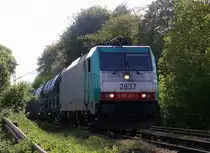 Die Cobra 2837 kommt die Gemmenicher-Rampe herunter nach Aachen-West mit einem langen Kalkzug aus Marche-les-Dames(B) nach Hagen(D). 
Aufgenommen an der Gemmenicher-Rampe am Gemmenicher-Weg an der Montzenroute.
Bei Sommerwetter am Nachmittag vom 12.5.2016.