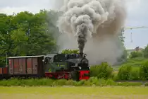 Dampfbetrieb auf der Selfkantbahn: Lok 101  Schwarzach  mit gemischtem Zug bei Birgden, 16.5.16.