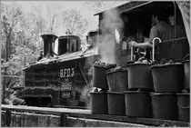 Festival Suisse de la vapeur 2016: Es dampfe und rauchte, das es eine wahre Freude war; doch wer viel Dampft und Raucht hat auch mächtig Hunger nach Kohle...
Die HG 3/4 N° wird in Chaulin mit Kohle (und Wasser) versorgt.
15. Mai 2016