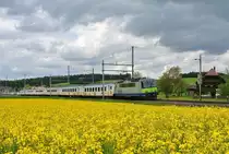 Leider war es bew�lkter als gehofft; Die Kambly Re 465 ist zurzeit in der Werkst�tte in Spiez, als Ersatz verkehrt nun wieder einmal eine Re 420 am Kambly EWIII Pendel. Re 420 502-7 mit dem RE 4371 bei Worb SBB, 16.05.2016.