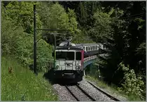 Die vor Jahen recht lichte Fotostelle bei Sendy-Sollard ist in der Zwischenzeit recht zugewachsen. Die MOD GDe 4/4  Aigle Les Murailles  ist mit dem Classic Golden Pass N° 2217 auf der Fahrt nach Montreux.
25. Mai 2016