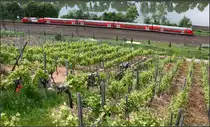 Zwischen Neckar und Weinberghang -

Dosto-Zug zwischen Mettingen und Esslingen am Neckar.

28.05.2016 (M)