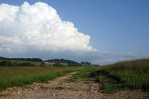 ASM/OJB/LMB: EINST UND JETZT. Die LMB-Strecke Langenthal-Melchnau wurde im Jahre 1917 eröffnet. Im Jahre 1982 erfolgte die Umstellung des Personenverkehrs zwischen St. Urban und Melchnau auf Busbetrieb. Eine Verlängerung des Bahnbetriebes bis St. Urban Ziegelei erfolgte 1989. Für den Güterverkehr (Normalspurwagen auf Rollböcken) sowie Personen-Extrazüge konnte die Strecke nach Melchnau weiterhin betrieben werden. Die Aufhebung der Konzession für den Streckenabschnitt St. Urban Ziegelei-Melchnau Fabrik erfolgte im Jahre 2012 sowie der Abbau von Geleisen und Fahrleitung im Winter 2015.
So präsentierte sich die ehemalige Bahnstrecke St. Urban Ziegelei-Melchnau, die zu einem Radweg ausgebaut werden soll, am 27. Mai 2016 dem Fotografen.
Foto: Walter Ruetsch   