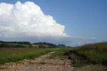 ASM/OJB/LMB: EINST UND JETZT. Die LMB-Strecke Langenthal-Melchnau wurde im Jahre 1917 eröffnet. Im Jahre 1982 erfolgte die Umstellung des Personenverkehrs zwischen St. Urban und Melchnau auf Busbetrieb. Eine Verlängerung des Bahnbetriebes bis St. Urban Ziegelei erfolgte 1989. Für den Güterverkehr (Normalspurwagen auf Rollböcken) sowie Personen-Extrazüge konnte die Strecke nach Melchnau weiterhin betrieben werden. Die Aufhebung der Konzession für den Streckenabschnitt St. Urban Ziegelei-Melchnau Fabrik erfolgte im Jahre 2012 sowie der Abbau von Geleisen und Fahrleitung im Winter 2015.
So präsentierte sich die ehemalige Bahnstrecke St. Urban Ziegelei-Melchnau, die zu einem Radweg ausgebaut werden soll, am 27. Mai 2016 dem Fotografen.
Foto: Walter Ruetsch   