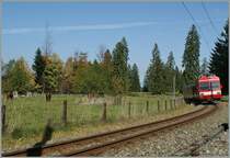 Pferd und Juralandschaft gehört irgendwie zusammen. Doch die Viecher gleich noch mit einem Zug sinnvoll auf ein Foto zu bekommen ist gar nicht so  einfach...
Ein CJ Regioanlzug erreicht in Kürze die Haltestelle Le Creux-des-Biches.
8. Okt. 2010