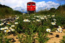 Der Duft von Kamillen ist doch ganz was feines,... Prachtwetter im Stainztal am 4.06.2016 .Das Bild wurde vom Bahnübergang aus gemacht und war ein Nachschuss.
