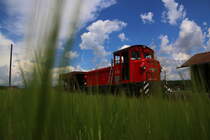 Dem Frühlingsfrost getrotzt hat das prächtige Korn das bei Neudorf dahinwächst . Am 4. Juni 2016 macht die Arbeiterrotte Rast. 