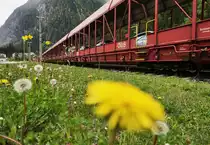 Die ASTB 9620 von Mallnitz-Obervellach, fährt in den Bahnhof Böckstein ein.
Aufgenommen am 5.6.2016