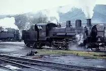Die MSP betrieb auch die meterspurige Kohlenbahn von Ponferrada nach Villablino. am 04.05.1984 rangieren im Betriebsgelände in Ponferrada die 1'C-Stütztenderlok 31 (Maffei 3350/1913) und eine der von Baldwin gelieferten 1'C1'-Tenderloks