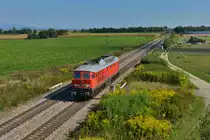 233 040 am 11.09.2015 bei Stephansposching. 