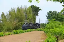 Die kleinen Lokomotiven von Siemens-Schuckert/MAN (1924) der Jôshin-Bahn: Im Bambushain. 29.Mai 2016. 