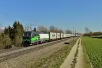 193 241 mit einem Containerzug am 22.02.2016 bei Langenisarhofen. 