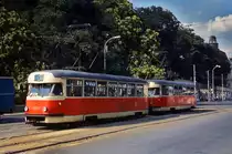 Im Juli 1989 setzte die Straßenbahn in Brno/Brünn noch einige Tatra T2 ein, wie hier den T2 1457 (?) und einen weiteren T2 auf der Linie 8. Bis spätestens Mitte der 1990er Jahre waren die letzten Exemplare verschwunden. Mir gefielen diese Triebwagen immer sehr gut, da sie im Gegensatz zum T3 ihrem Vorbild, dem PCC-Triebwagen, wesentlich ähnlicher sahen (auch wenn sich die Frontpartie inzwischen geändert hatte, u. a. Doppelscheinwerfer).