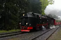 99 236 vor Planzug P 8922 vom Brocken, am 16.10.2015 bei der Einfahrt in den Bahnhof Drei Annen Hohne.