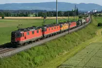 SBB: Dank Fotografenglück konnte am Morgen des 28. Juni 2016 ein Güterzug mit einer Re 20/20 bei Betthausen verewigt werden. Erkennbar ist die Re 6/6 11664  KÖNIZ .
Foto: Walter Ruetsch 